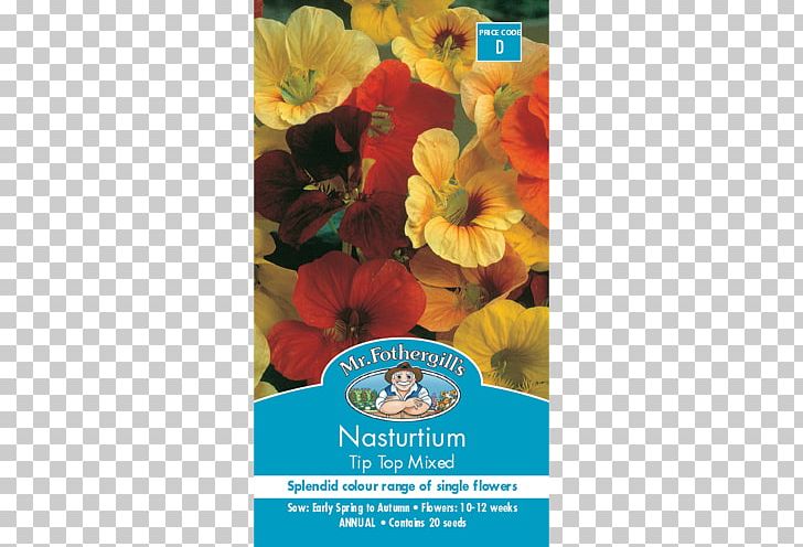Garden Nasturtium Seed Flower Petal Sowing PNG, Clipart, Color, Flower, Flowering Plant, Hoa Sen, Nasturtium Free PNG Download