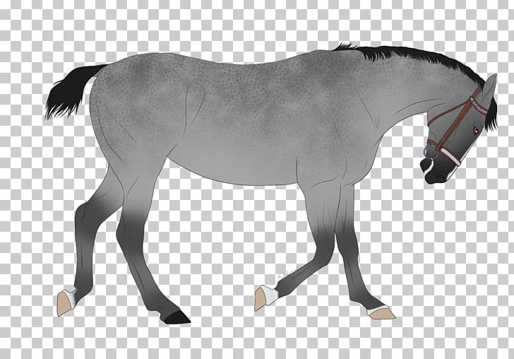 Mustang Stallion Mare Foal Colt PNG, Clipart, Bridle, Colt, Dog Harness, Foal, Halter Free PNG Download