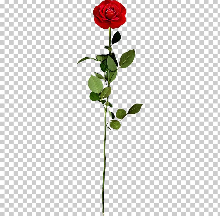 Rose Petal Icon PNG, Clipart, Black And White, Branch, Bud, Cut Flowers, Flora Free PNG Download