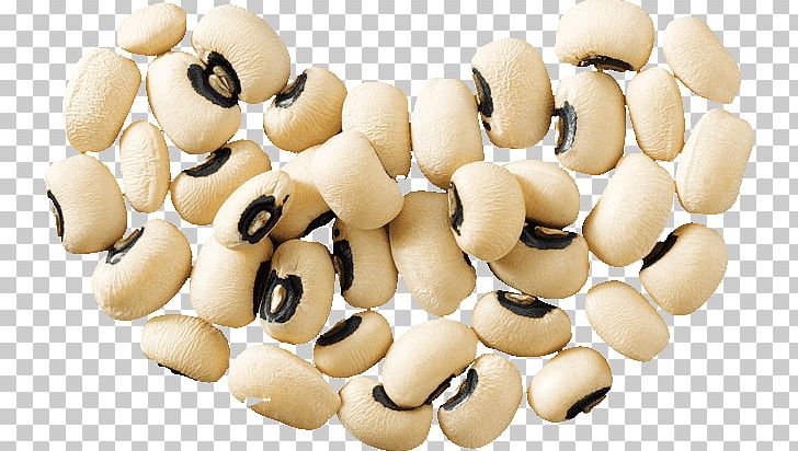 Vegetarian Cuisine Wild Bean Legumes Navy Bean PNG, Clipart, Auglis, Bean, Black, Commodity, Cuisine Free PNG Download