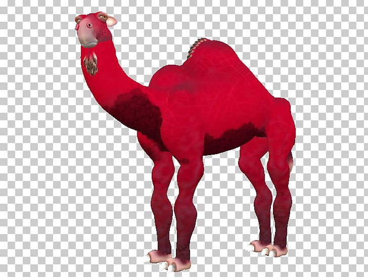 Dromedary Camel Snout Terrestrial Animal PNG, Clipart, Ancestors, Animal, Animal Figure, Arabian Camel, Badlands Free PNG Download