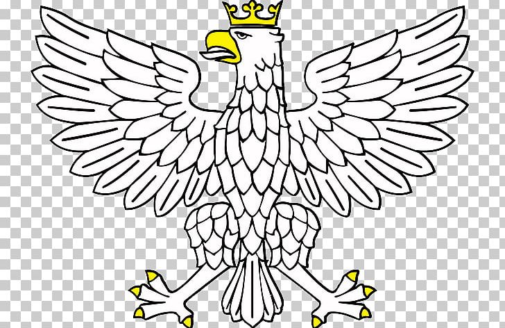 Eagle Crown PNG, Clipart, Art, Artwork, Beak, Bird, Branch Free PNG Download