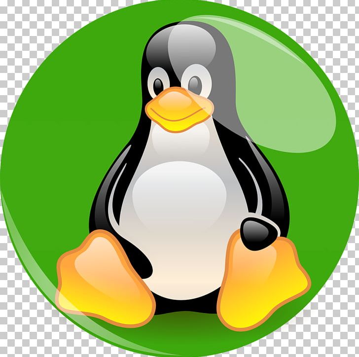 Linux From Scratch Linux Distribution Red Hat Enterprise Linux Installation PNG, Clipart, Arch Linux, Beak, Bird, Centos, Computer Software Free PNG Download