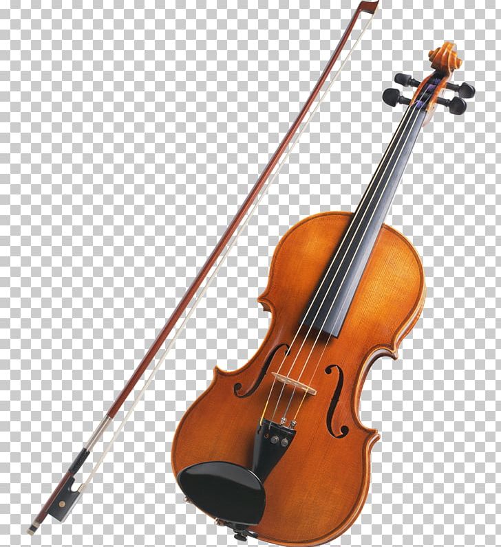 String Instrument Violin Musical Instrument Family PNG, Clipart, Banjo, Bass Guitar, Bass Violin, Bow, Bowed String Instrument Free PNG Download