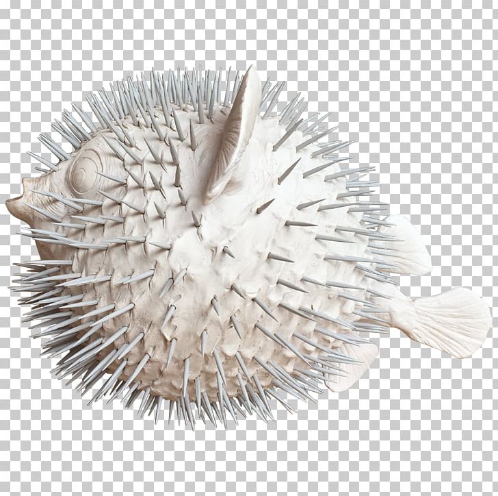 Designer Pufferfish Furniture Viyet PNG, Clipart, Brush, Ceramic, Designer, Furniture, Logo Free PNG Download