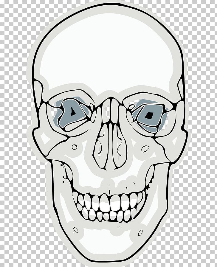 Skull Frontal Bone PNG, Clipart, Artwork, Black And White, Bone ...