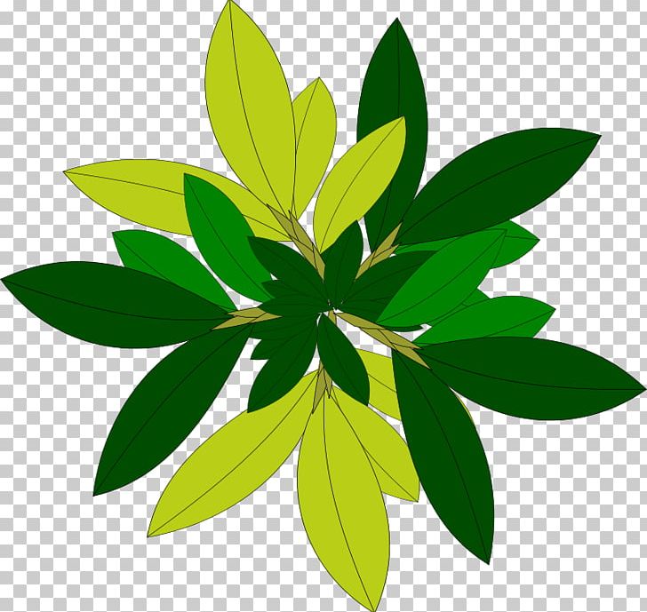 Tree Plant PNG, Clipart, Arecaceae, Drawing, Flower, Green, Landscape Design Free PNG Download