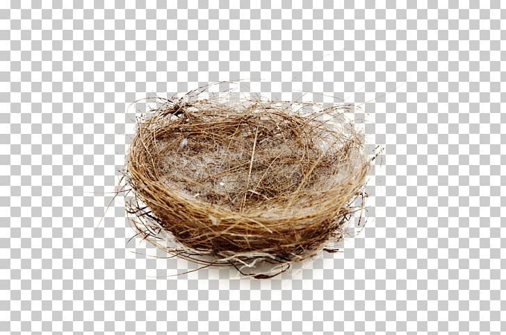 Edible Birds Nest Bird Nest PNG, Clipart, Adobe Illustrator, Animals, Bird, Bird Cage, Birdie Free PNG Download