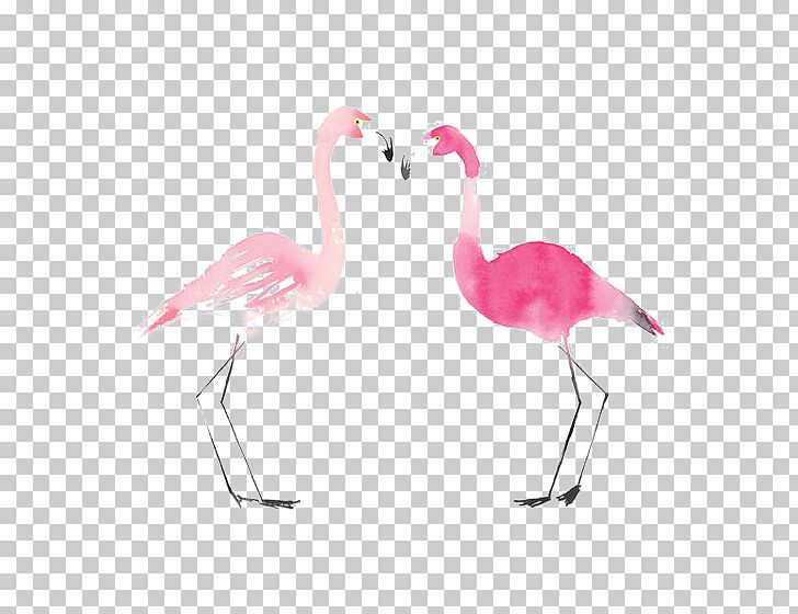 Flamingo Bird Drawing Painting PNG, Clipart, African, African Animals, Animal, Animals, Beak Free PNG Download