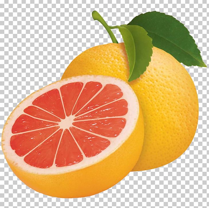 Grapefruit Sour Tangerine Bergamot Orange Lemon PNG, Clipart, Bergamot Orange, Bitter Orange, Blood Orange, Citric, Citrus Free PNG Download