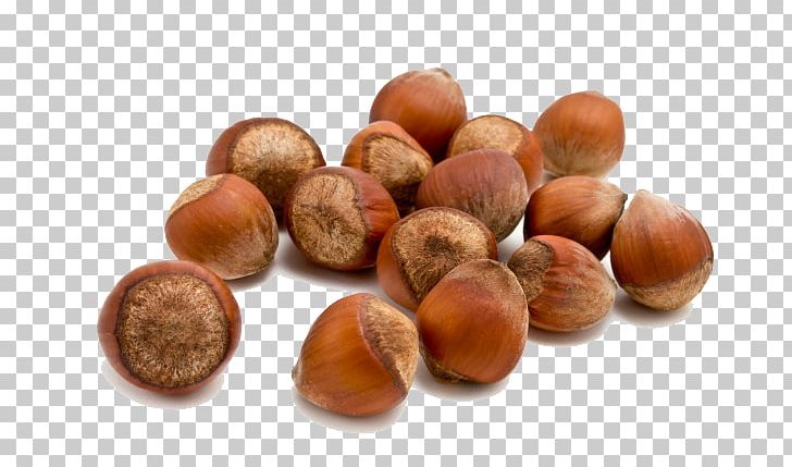 Hazelnut Food Almond PNG, Clipart, Acorn And Flowers, Acorn Border, Acorn Forest, Acorns, Acorns In Hand Free Photo Free PNG Download