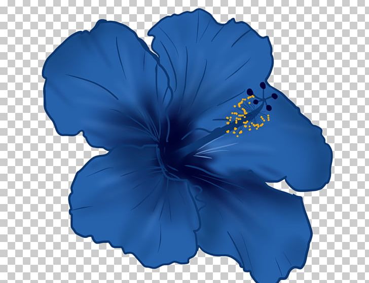 Shoeblackplant Flower Roselle Mallows Blue Hibiscus PNG, Clipart, Blue, Cobalt Blue, Common Hibiscus, Deviantart, Electric Blue Free PNG Download