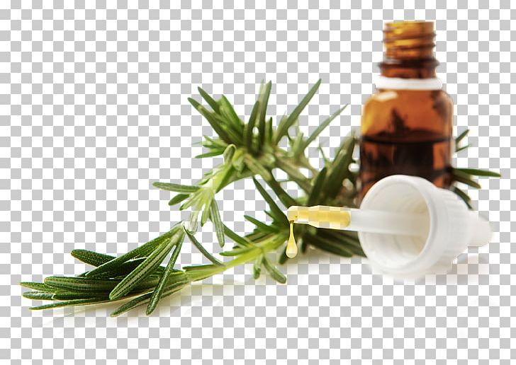 Essential Oil Recipe Lavender Oil Food PNG, Clipart, Alternative Medicine, Bath Salts, Book, Essential Oil, Exfoliation Free PNG Download