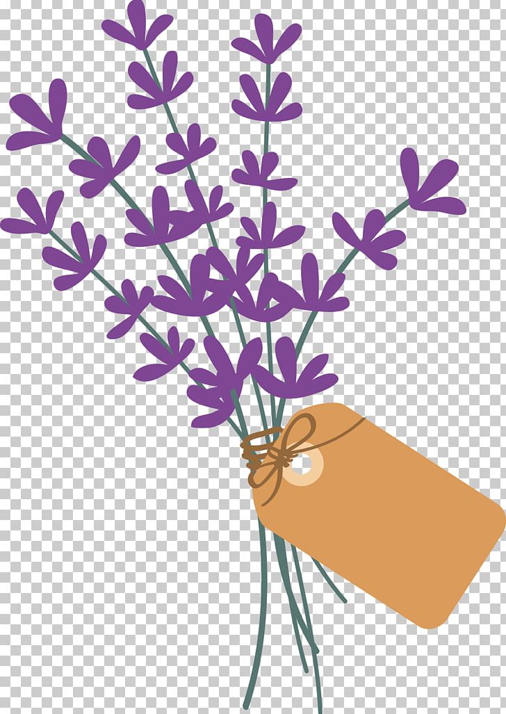 Lavender Plant Stem Violet Petal Lamiaceae PNG, Clipart, Branch, Flora, Flower, Flowering Plant, Hand Free PNG Download