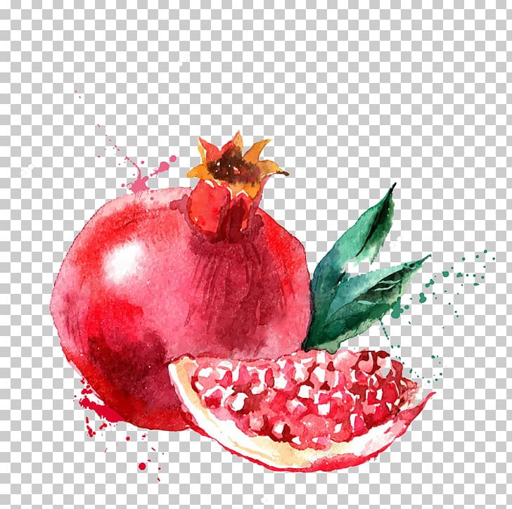 Watercolor Painting Fruit Drawing Illustration PNG, Clipart, Apple, Art, Cartoon, Food, Fruit Nut Free PNG Download