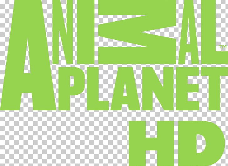 Animal Planet High-definition Television Television Channel Logo PNG, Clipart, Angle, Animal, Animal Planet, Animal Planet Hd, Area Free PNG Download
