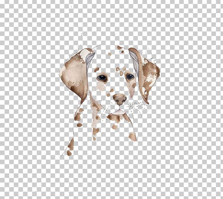 Dalmatian Dog Watercolor Painting Drawing Illustration PNG, Clipart, Animals, Art, Carnivoran, Dog, Dog Breed Free PNG Download
