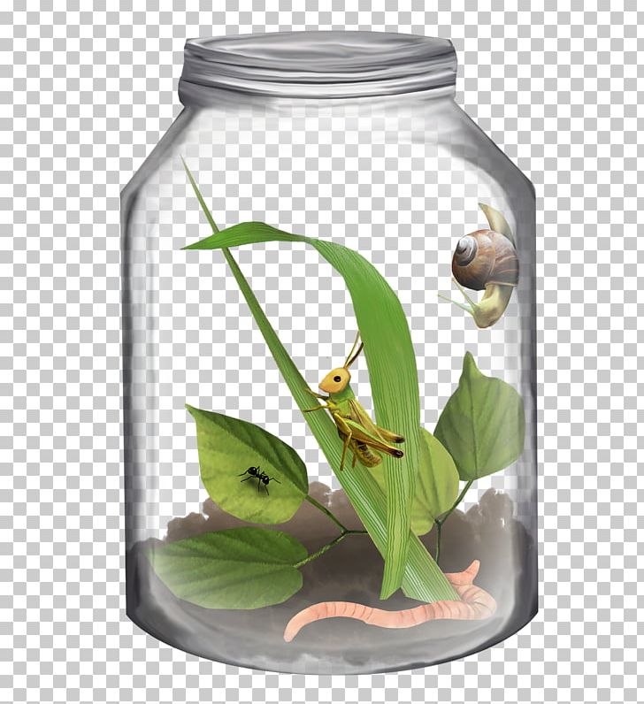 Jar Insect Bottle PNG, Clipart, Animal In Jar, Bottle, Color, Computer Icons, Flowerpot Free PNG Download