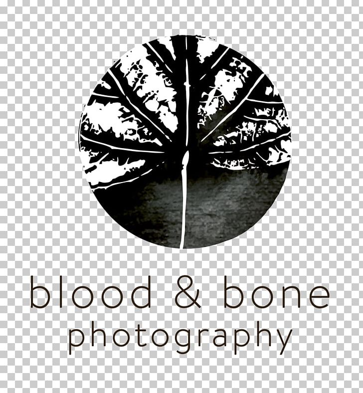 Photography Social Media Logo Neue Galerie New York PNG, Clipart, Blood, Blood And Bone, Bone, Brand, Gmail Free PNG Download