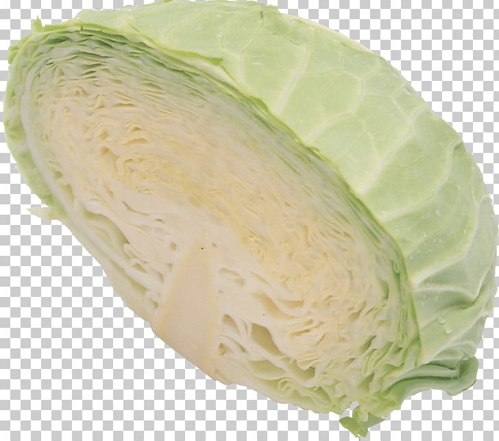 Savoy Cabbage Vegetable Cauliflower Red Cabbage PNG, Clipart, Broccoli, Brussels Sprout, Cabbage, Cauliflower, Cruciferous Vegetables Free PNG Download