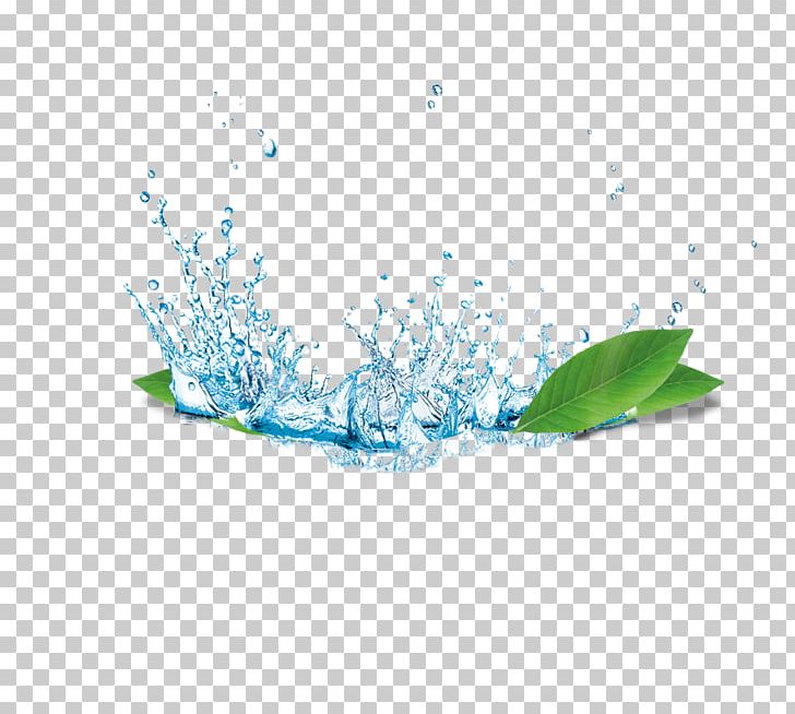 Water PNG, Clipart, Aqua, Aquarium, Aquatic Plants, Bubble, Carbon Free PNG Download