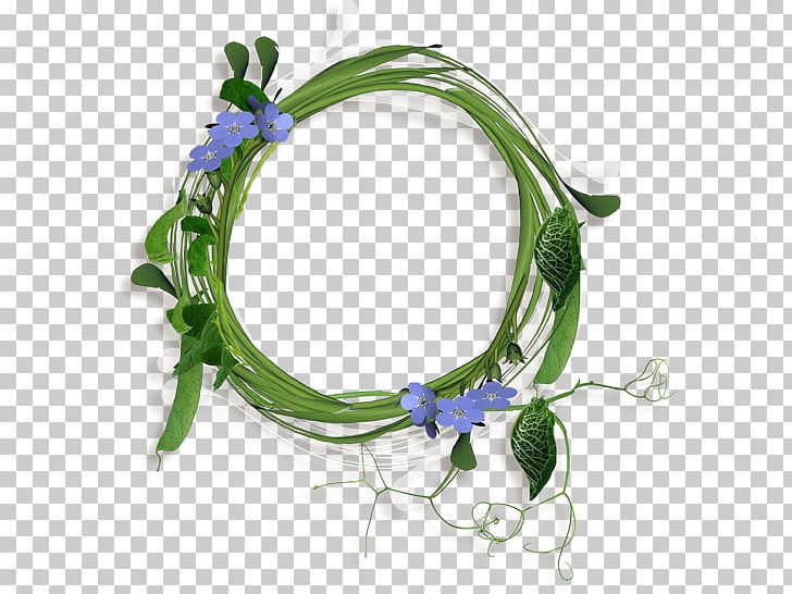 Aster PNG, Clipart, 2016, Aster, Flower, Others Free PNG Download