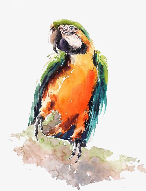 Parrot PNG, Clipart, Animal, Art, Beak, Bird, Blue Free PNG Download