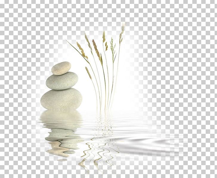 Zen Master Meditation Religion Mindfulness PNG, Clipart, Alternative Medicine, Buddhism, Grass, Grass Family, Hotel Free PNG Download