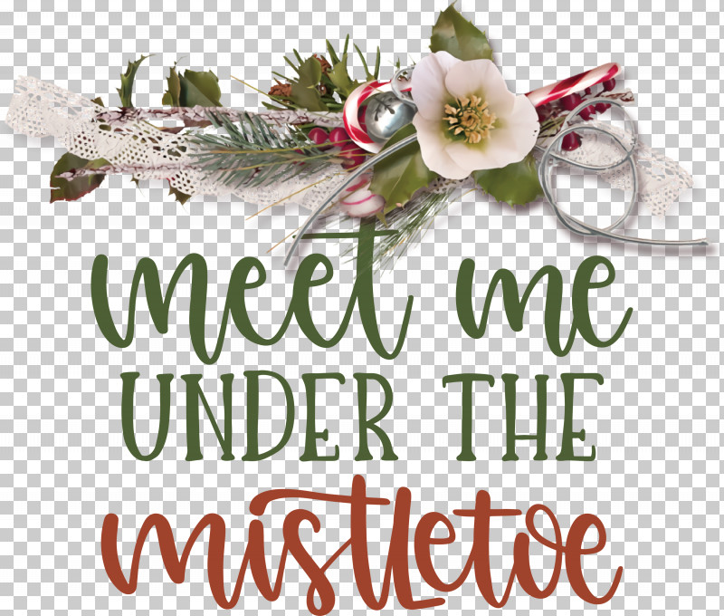 Meet Me Under The Mistletoe Mistletoe PNG, Clipart, Biology, Christmas Day, Christmas Ornament, Christmas Ornament M, Cut Flowers Free PNG Download