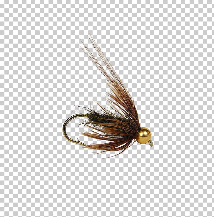 Artificial Fly Caddisflies Pupa Nymph Insect PNG, Clipart, Animals, Artificial Fly, Fishing, Fishing Bait, Fishing Lure Free PNG Download