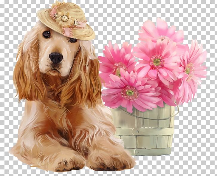 Carte D'anniversaire Birthday Gift Gratis PNG, Clipart, American Cocker Spaniel, Birthday, Carnivoran, Carte , Companion Dog Free PNG Download