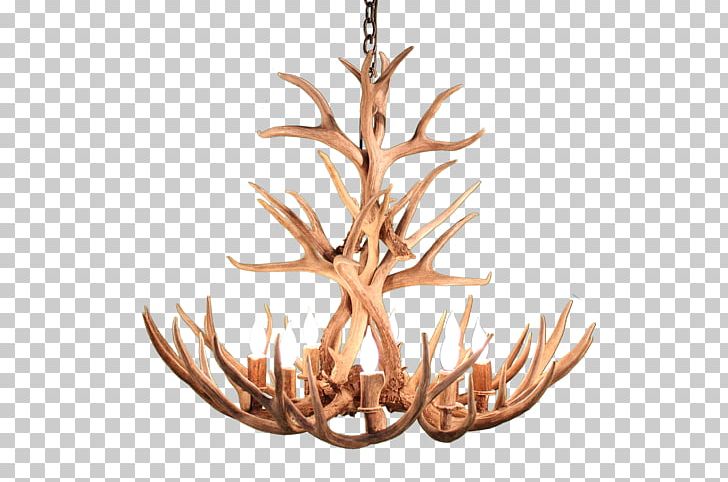 Chandelier Antler Deer Moose Elk PNG, Clipart, Animals, Antler, Branch, Ceiling Fixture, Chandelier Free PNG Download