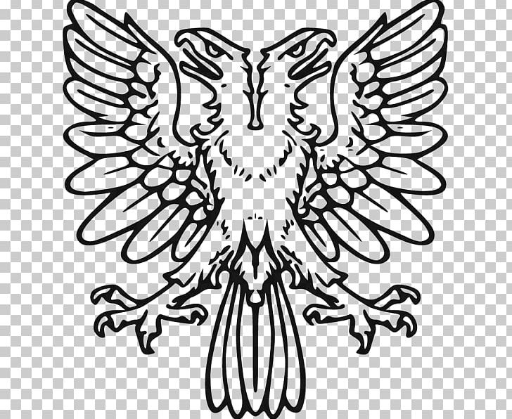 Double-headed Eagle The Art Of Heraldry: An Encyclopædia Of Armory Coat Of Arms PNG, Clipart, Animals, Arthur Charles Foxdavies, Artwork, Beak, Bird Free PNG Download