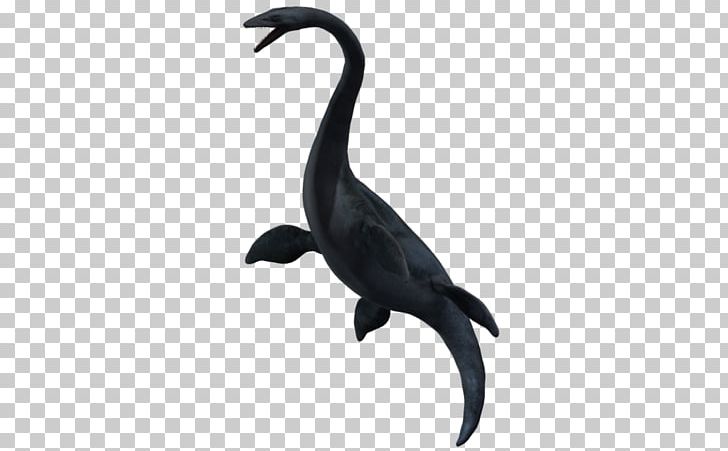 Elasmosaurus Dinosaur Spinosaurus Bird Animal PNG, Clipart, Amphibians, Animal, Animal Figure, Animals, Animation Free PNG Download