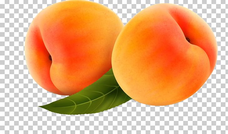 Peach Fruit PNG, Clipart, Apple Fruit, Apricot, Diet Food, Food, Fotosearch Free PNG Download