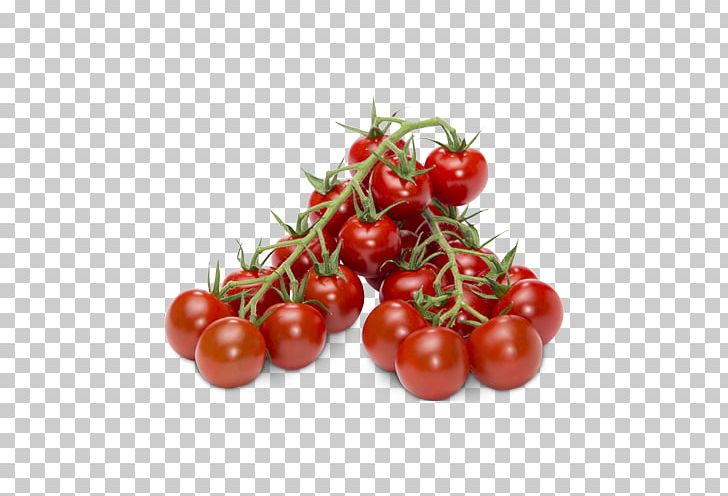 Plum Tomato Bush Tomato Food Vegetarian Cuisine PNG, Clipart, Bush Tomato, Cherry, Cherry Material, Cocktail, Cranberry Free PNG Download