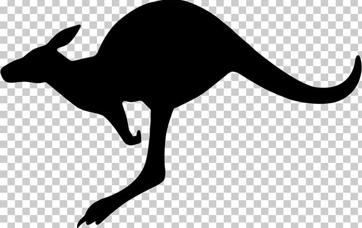 Royal Australian Air Force Royal Air Force Roundels Military Aircraft Insignia PNG, Clipart, Australia, Black, Carnivoran, Cat Like Mammal, Dog Like Mammal Free PNG Download