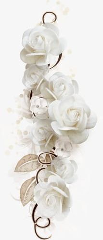 White Roses PNG, Clipart, Backgrounds, Bouquet, Bride, Close Up, Day Free PNG Download