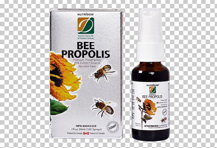 Bee Propolis Genkiland Onsen & Spa Health Royal Jelly PNG, Clipart, Bee, Food, Garcinia Cambogia, Health, Health Canada Free PNG Download