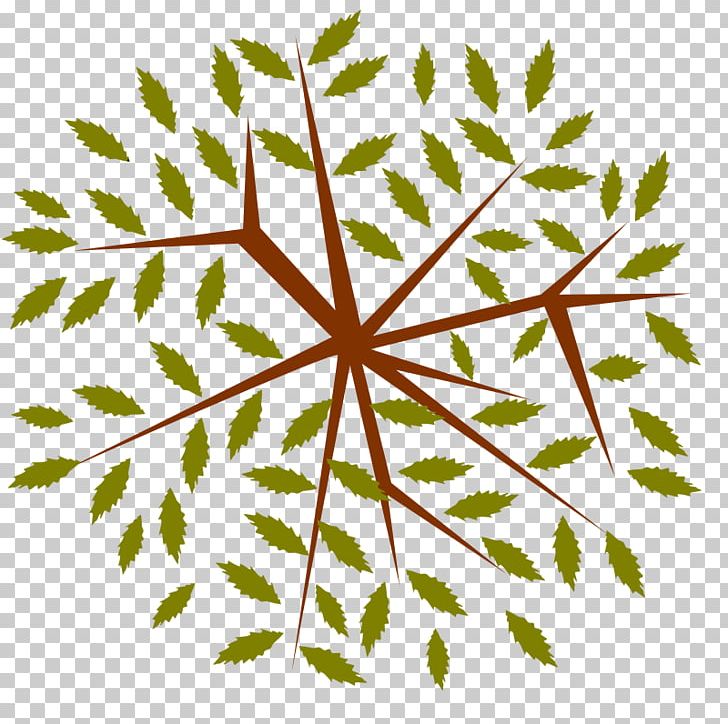 Leaf Branch Symmetry PNG, Clipart, Area, Branch, Computer Icons, Download, Favicon Free PNG Download