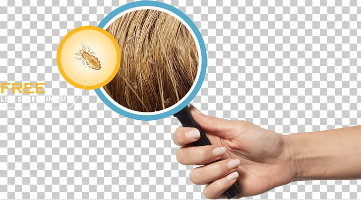 Head Louse Head Lice Infestation Health Sucking Louse PNG, Clipart, Body Louse, Child, Finger, Hand, Head Free PNG Download