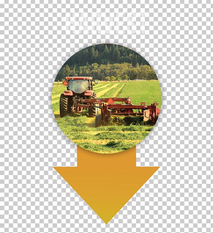 Agriculture EIMA INTERNATIONAL Organic Farming Tractor Alfalfa PNG, Clipart, Agriculture, Alfalfa, Arable Land, Crop, Eima International Free PNG Download