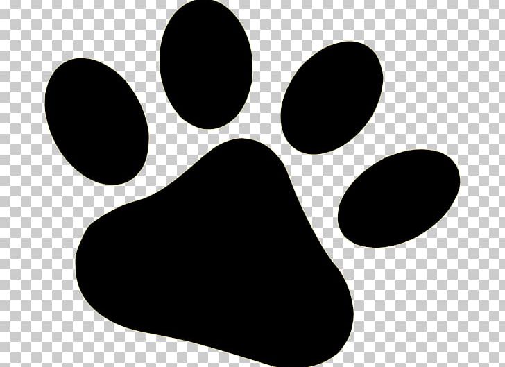 Dog Paw Bear PNG, Clipart, Bear, Black, Black And White, Blog, Claw Free PNG Download