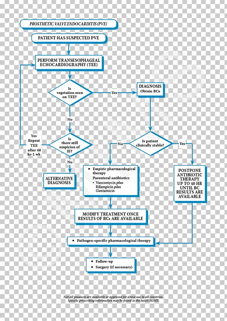 Treatment Of Infective Endocarditis Therapy Infection PNG, Clipart, American Heart Association, Angle, Antibiotics, Area, Diagnosis And Treatment Free PNG Download