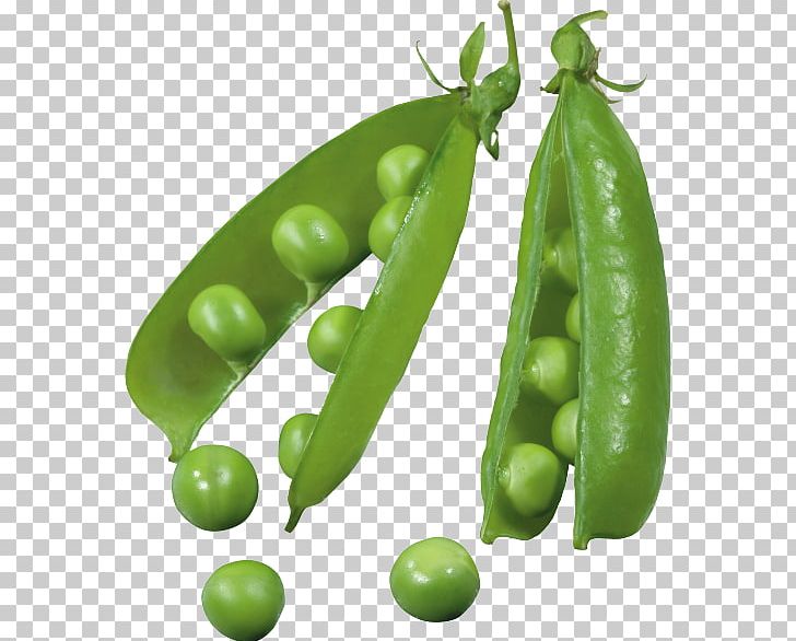 Pea Icon PNG, Clipart, Bean, Broad Bean, Butterfly Pea, Edamame, Encapsulated Postscript Free PNG Download