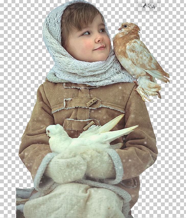 Child Krasnodar Photography Art PNG, Clipart, Art, Child, Dreams, Fur, Infant Free PNG Download