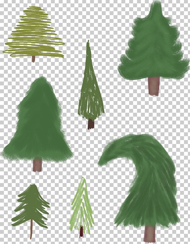 Fir Spruce Pine Christmas Tree PNG, Clipart, Christmas, Christmas Decoration, Christmas Ornament, Christmas Tree, Conifer Free PNG Download
