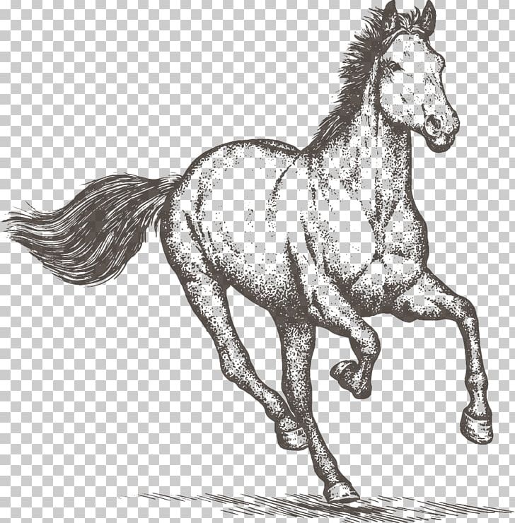 Horse Equestrian Drawing PNG, Clipart, Animals, Computer Icons, Engraving, Fauna, Fictional Character Free PNG Download