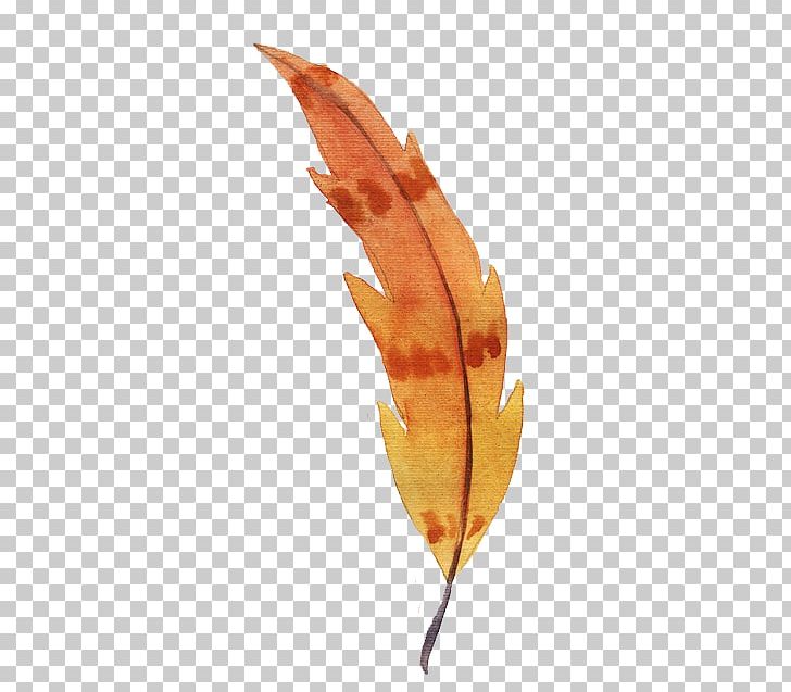 Watercolor Painting Feather Orange PNG, Clipart, Animals, Autumn, Cartoon, Decorate, Desi Free PNG Download