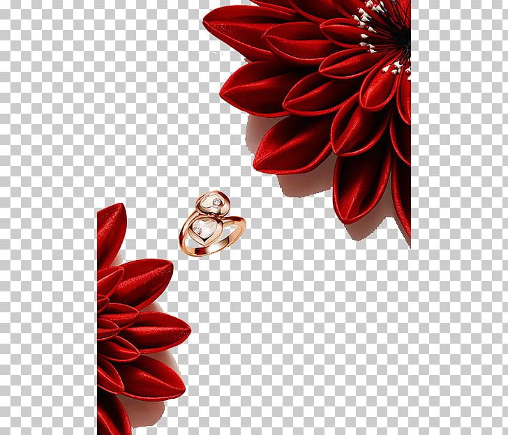 Chanel Jewellery Chopard Ring Luxury Goods PNG, Clipart, Bracelet, Charm Bracelet, Cut Flowers, Decorative, Decorative Flower Free PNG Download